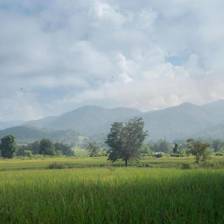 Camp View Mountain - Sell Experience By Paddy Fields Haven - Natures Nest パーイ エクステリア 写真
