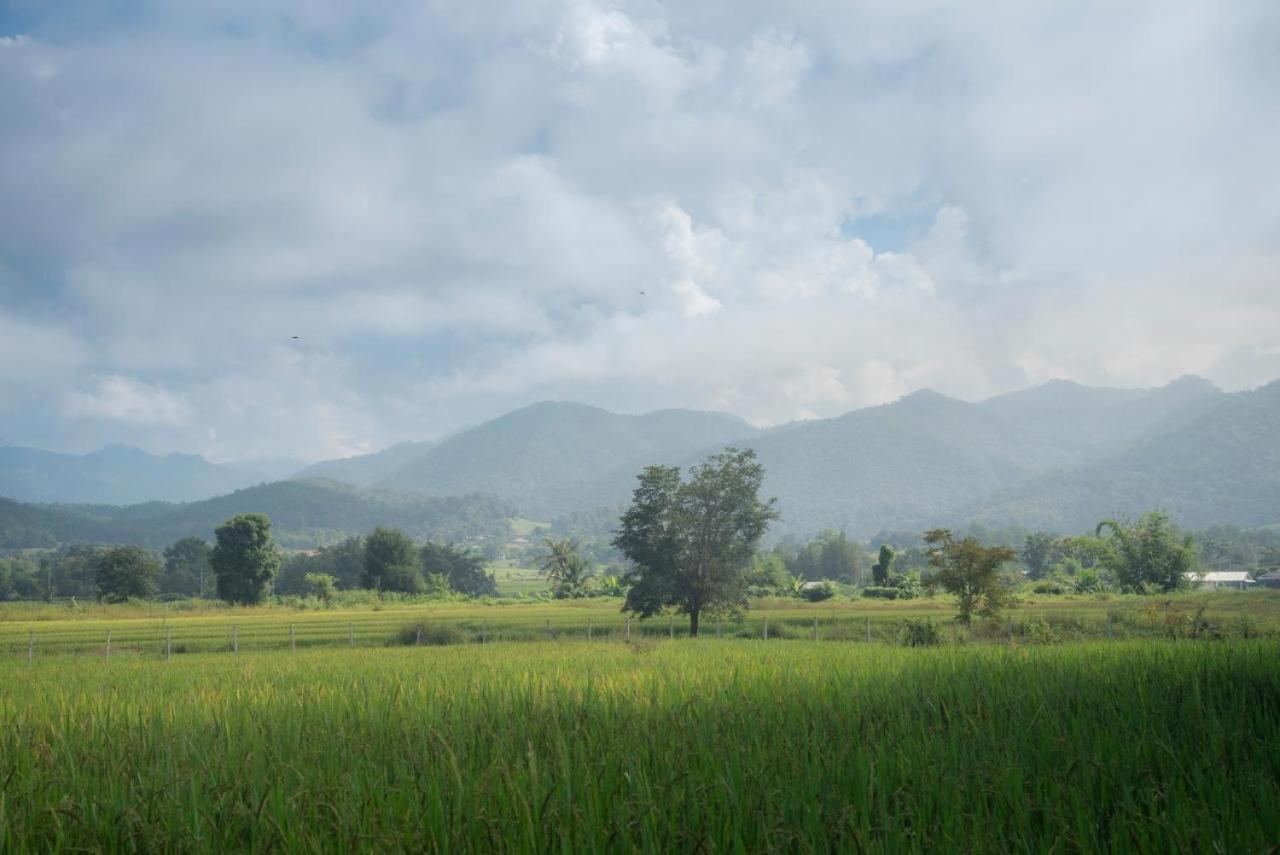 Camp View Mountain - Sell Experience By Paddy Fields Haven - Natures Nest パーイ エクステリア 写真