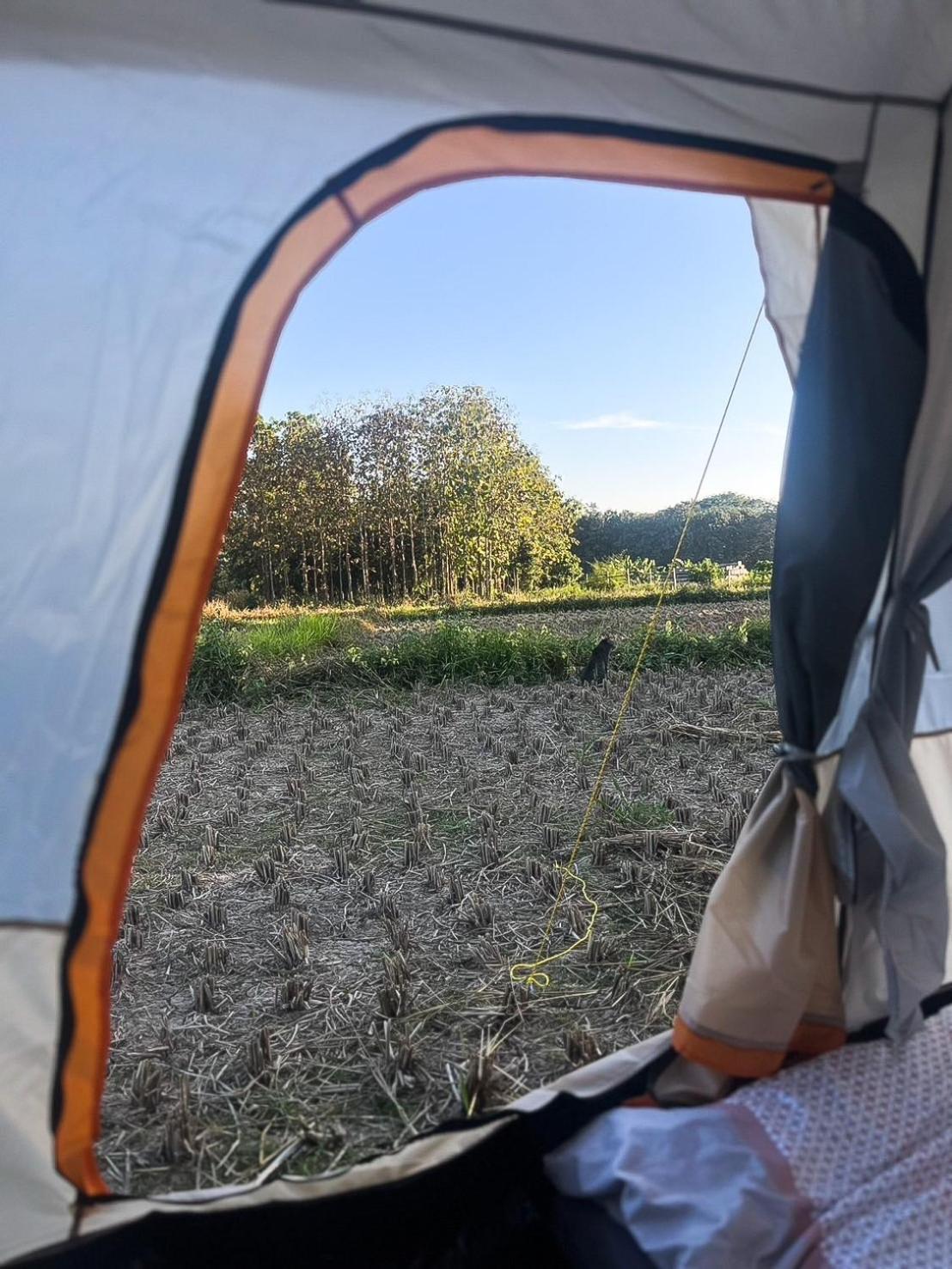 Camp View Mountain - Sell Experience By Paddy Fields Haven - Natures Nest パーイ エクステリア 写真