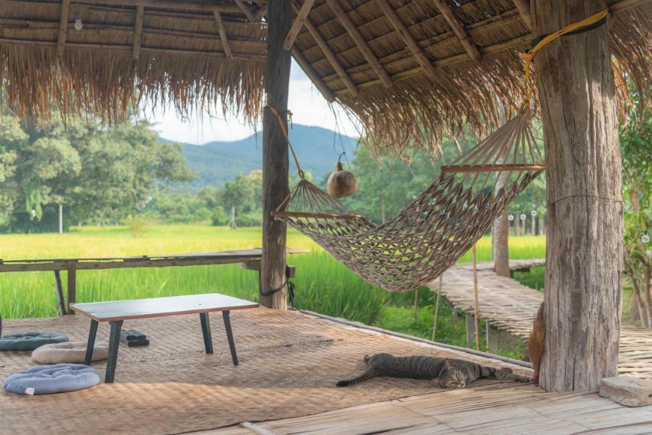 Camp View Mountain - Sell Experience By Paddy Fields Haven - Natures Nest パーイ エクステリア 写真